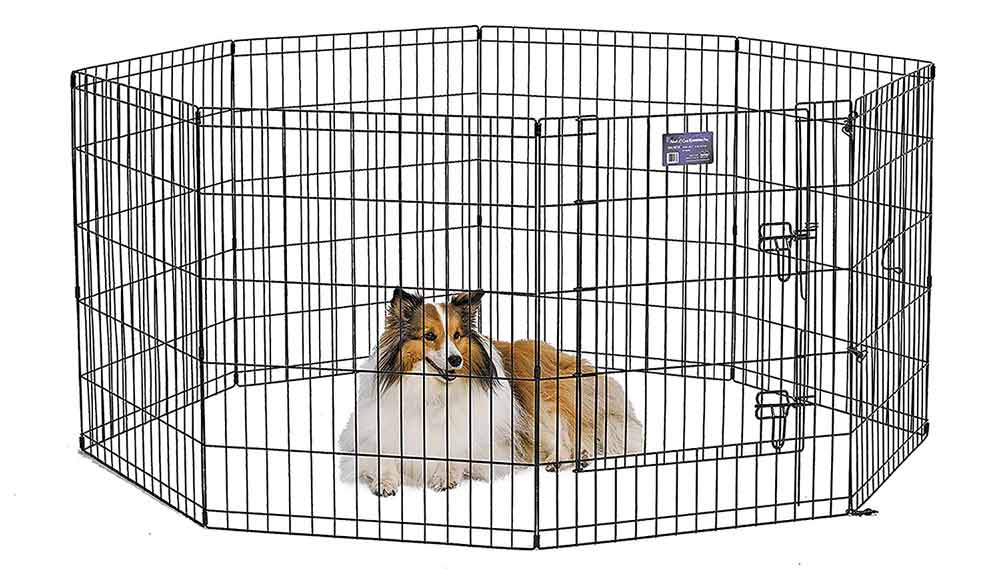 Midwest Foldable Metal Exercise Pen with Door Adventure Pup Essentials Trail and Kale