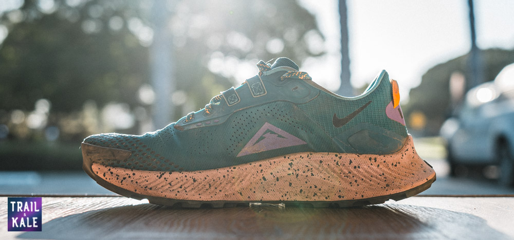 Nike Pegasus Trail 3 Review Trail and Kale web wm 5