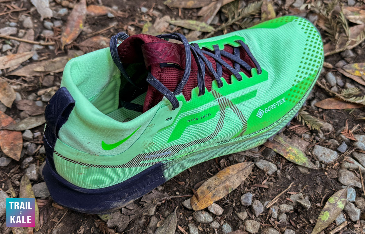 Nike Pegasus Trail 4 GORE TEX review 8