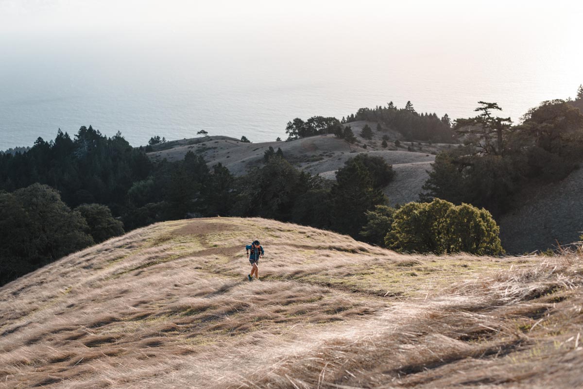 No Cow Energy Bars Trail Kale web 6