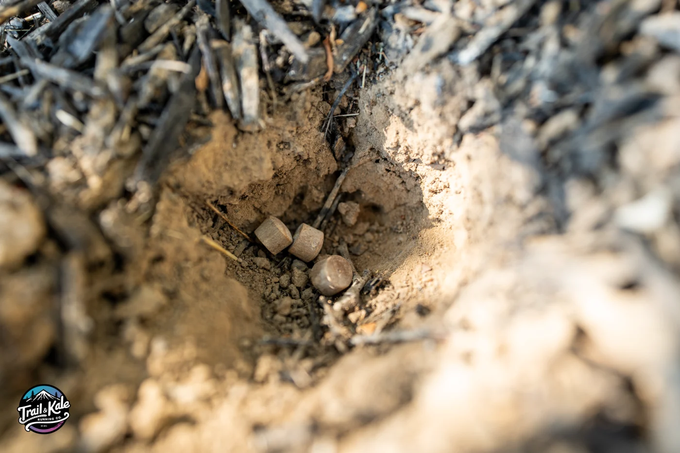 This hole isn't deep enough for actual use but I wanted to demonstrate the PACT Tabs in there.