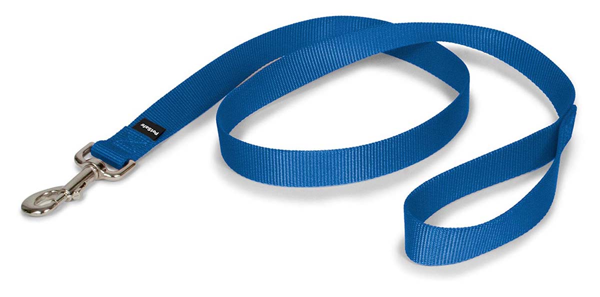 Petsafe Nylon Leash Adventure Pup Essentials Trail and Kale