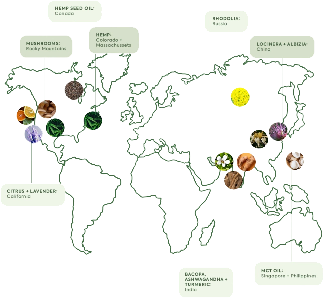 Map of ingredient sourcing - Image courtesy of Plant People