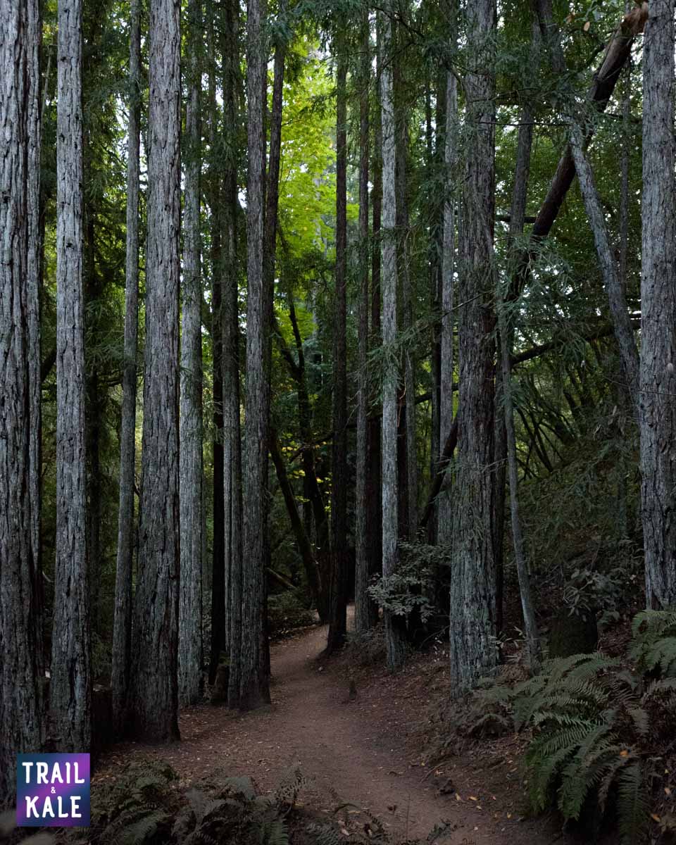 PrAna trail and kale web wm 11