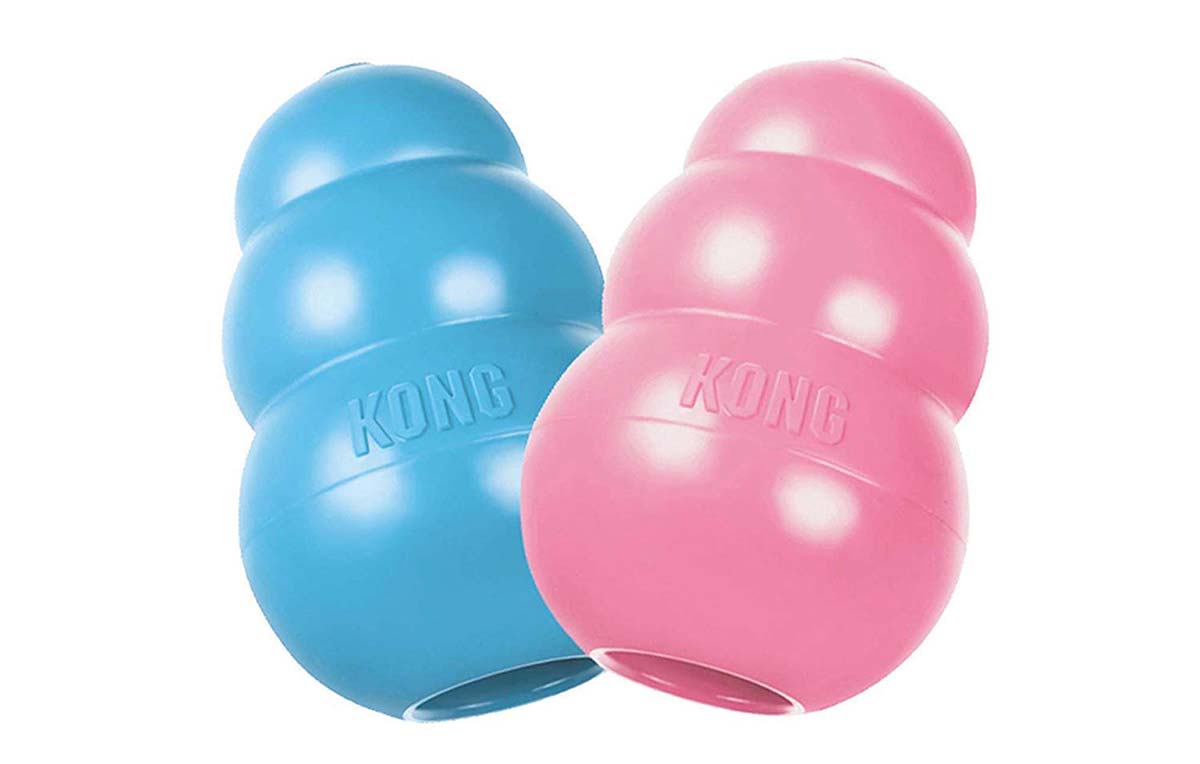 Puppy Kong Adventure Pup Essentials Trail and Kale