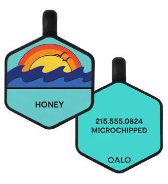 Qalo dog tag best gifts for dog owners