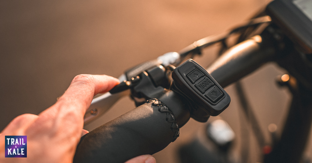 Rad Power Bikes RadMini 4 Review Trail and Kale web wm 4