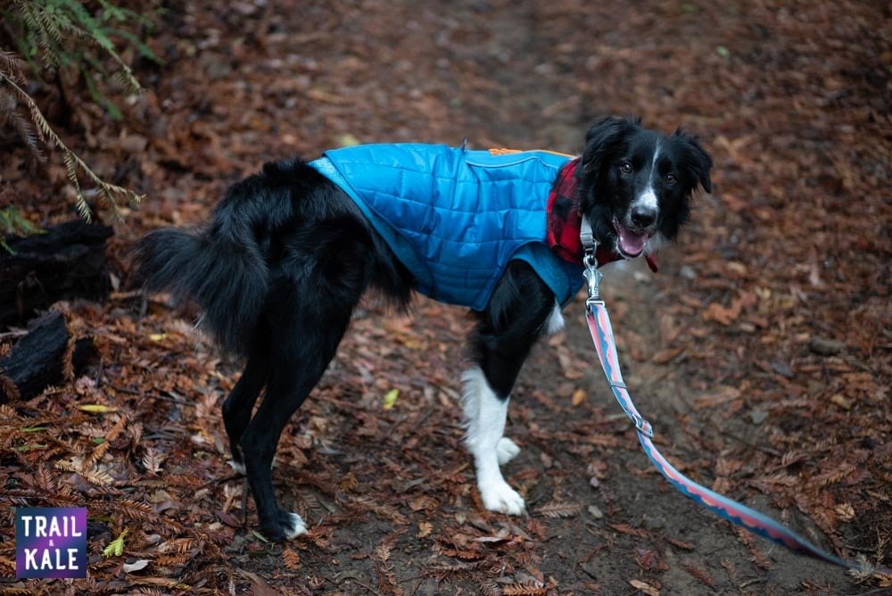 Redwood run hike Trail and Kale web wm 31