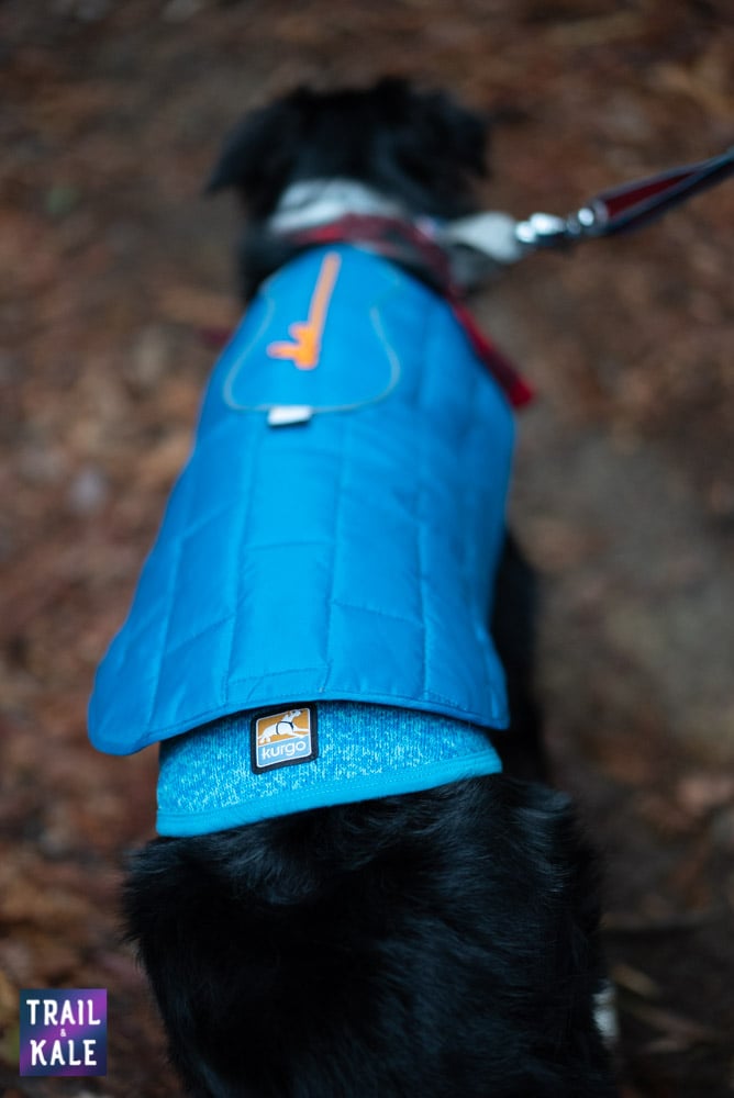 Redwood run hike Trail and Kale web wm 33