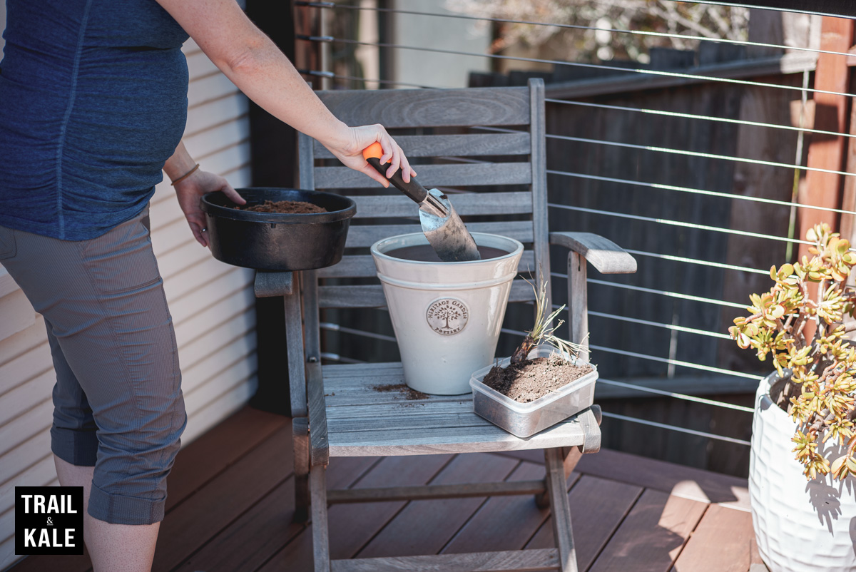 Reencle review the indoor electric composter for web 15