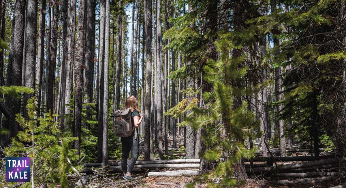 Revelry Drifter Backpack review trail and kale web wm 26