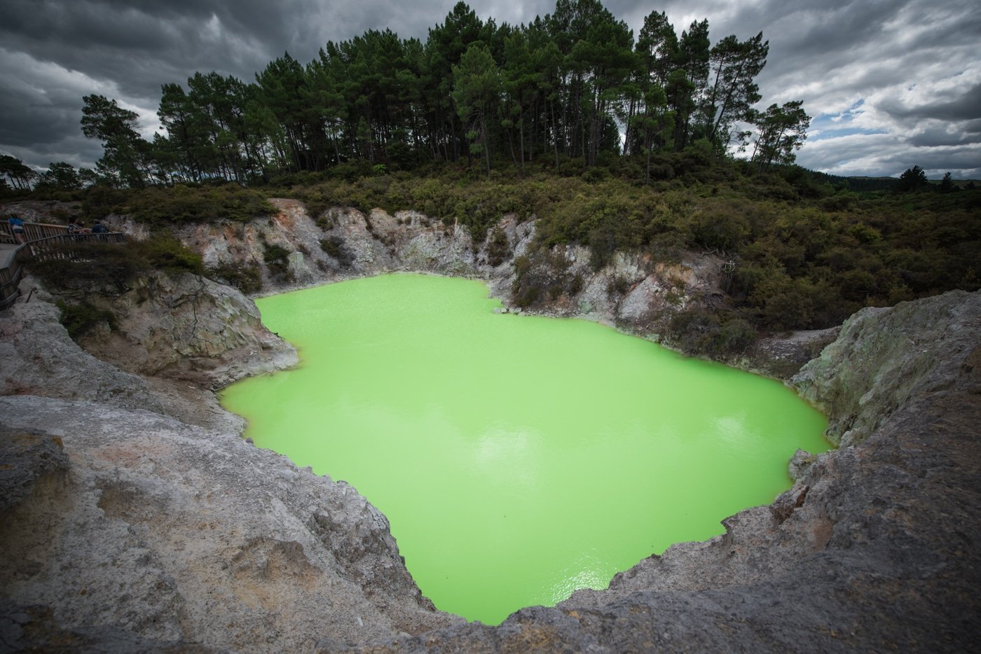 Rotorua thermal wonderland