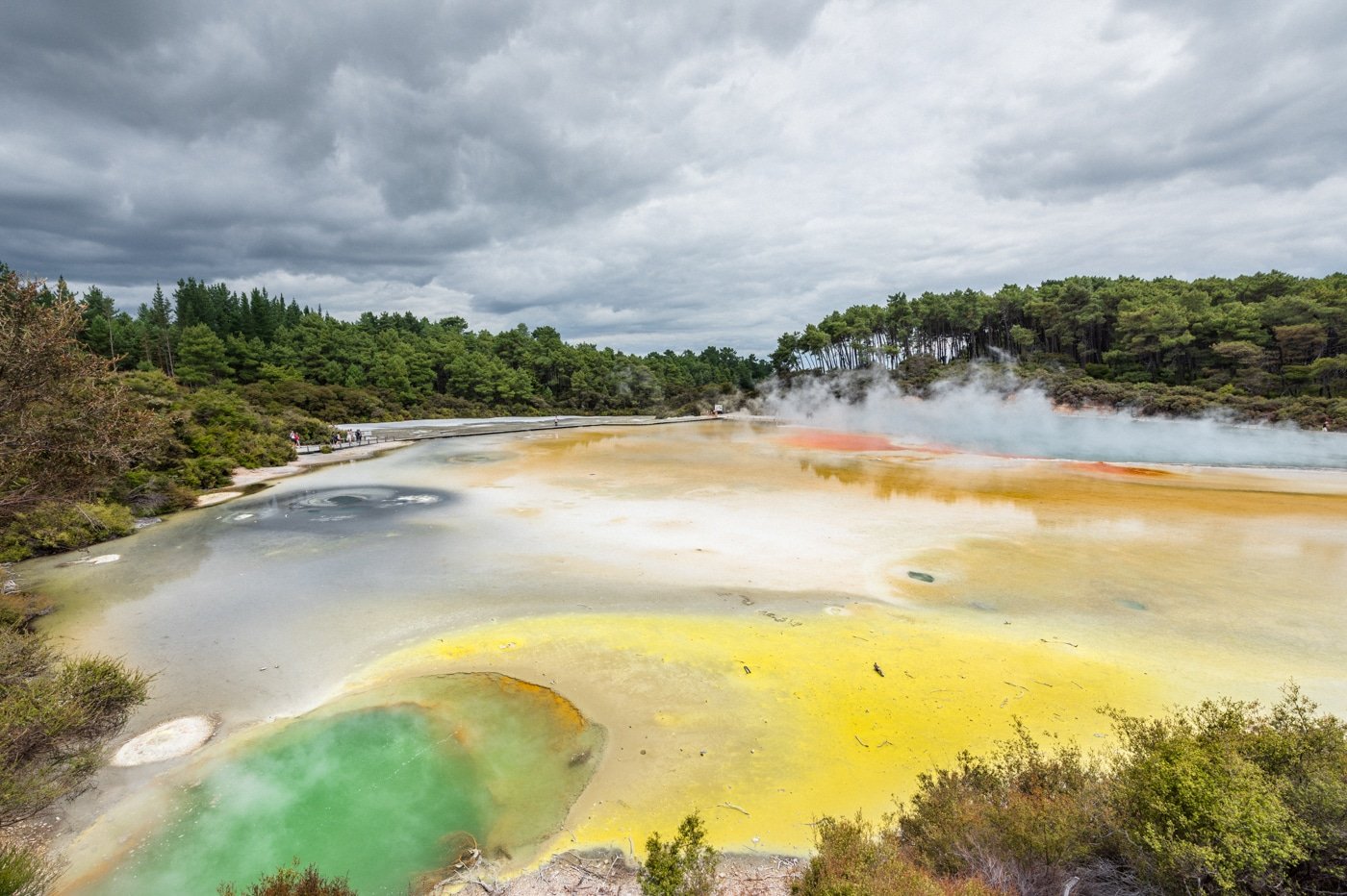 Rotorua thermal wonderland