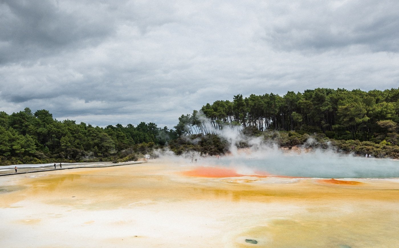 Rotorua thermal wonderland