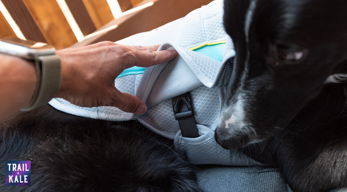 Ruffwear Cooling Vest Review - Dog Cooling Vest - trail and kale web wm 5