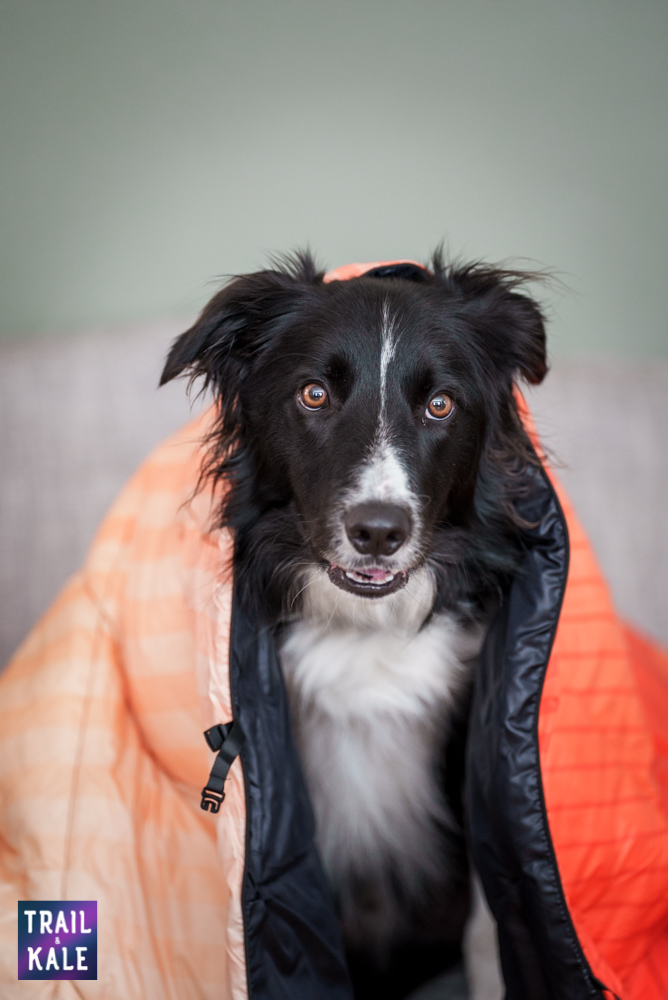 Rumpl Hair Repellent For Dogs Trail and Kale web wm 13