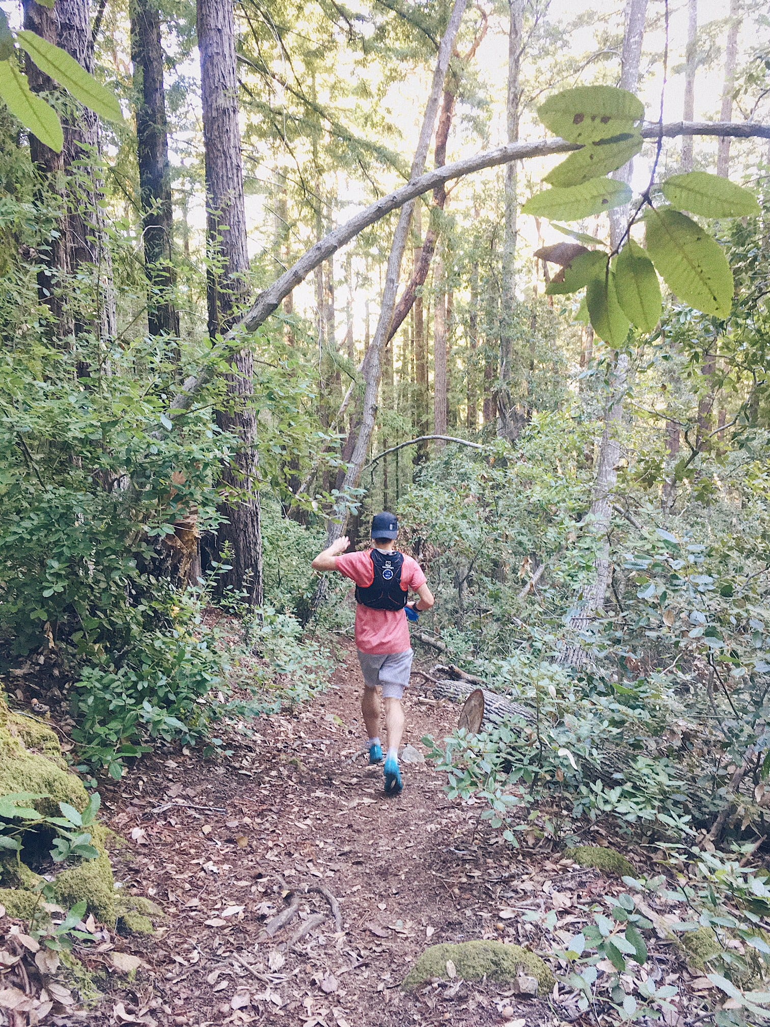 running in marin california - Trail & Kale