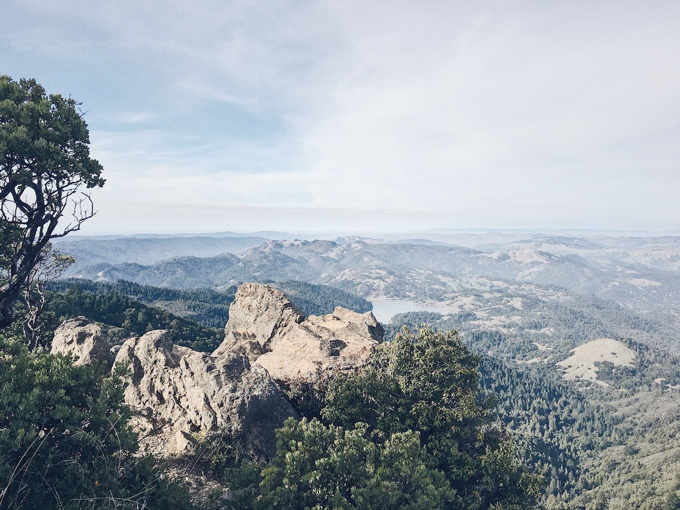 Running up Mount Tamalpais - Trail & Kale