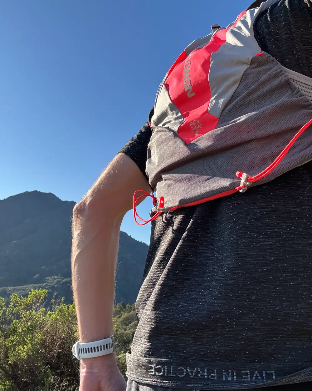 Salomon ADV SKIN 5 Hydration Pack back support