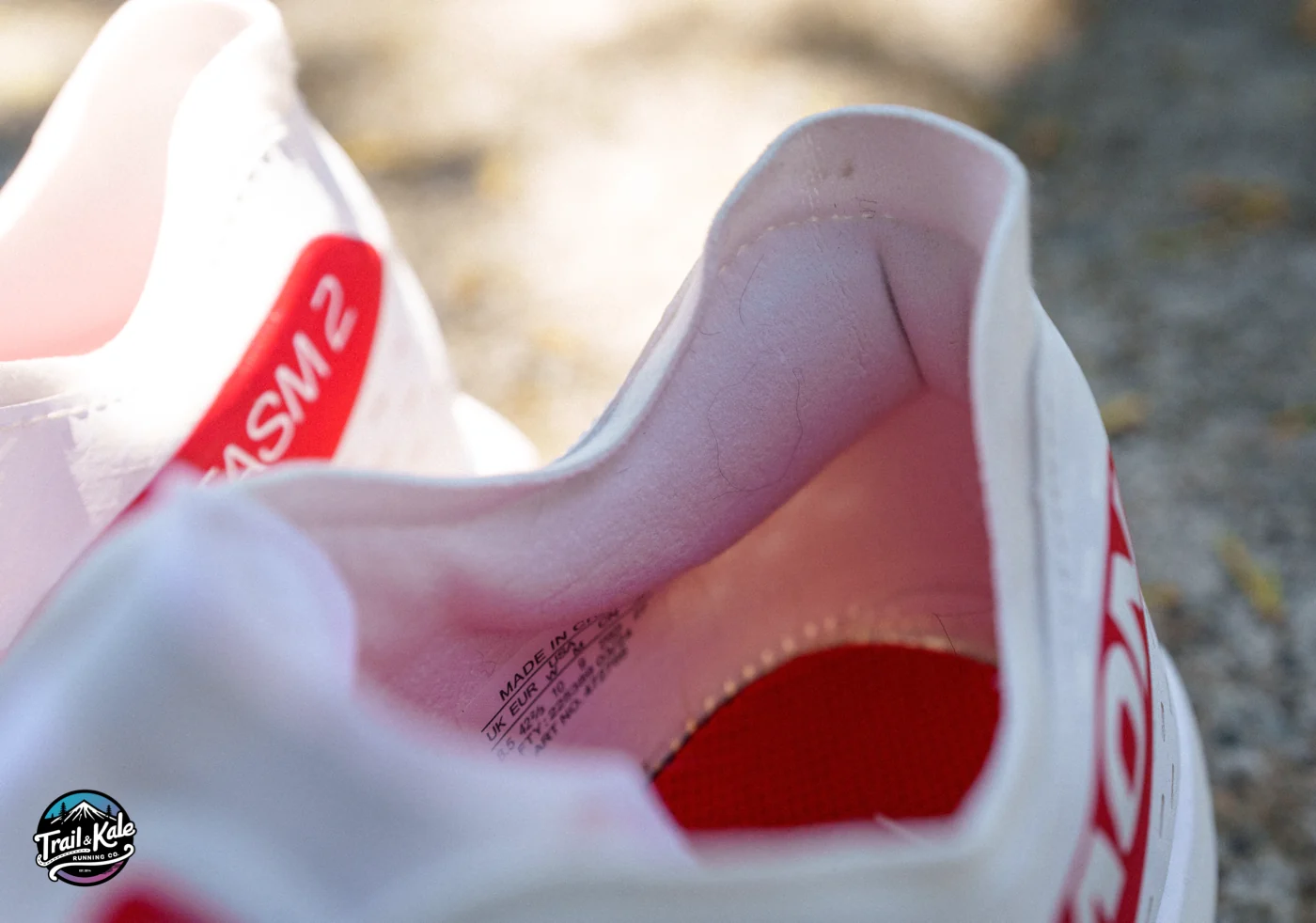 The collar and heel counter are well-padded