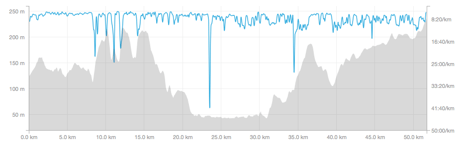 Race to the Stones 50k profile