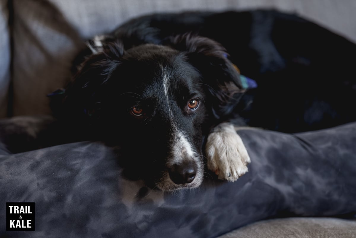 Sensate Review vibration stress relief by Trail and Kale 17