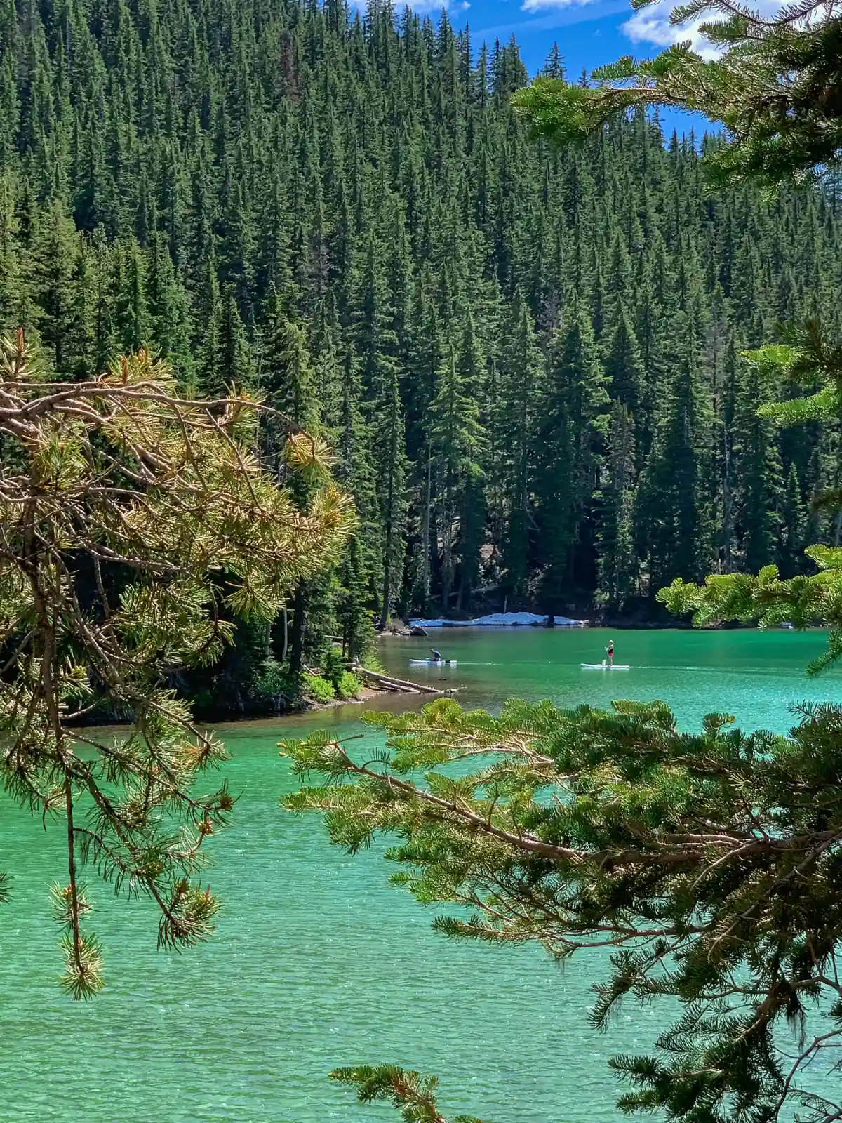 Stand Up Paddleboarding in Oregon