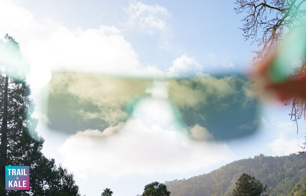 Tifosi Sanctum Sunglasses lens view