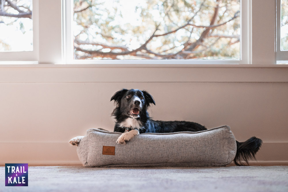 Toby and Ace Buddy Dog Bed Review Trail and Kale web wm 1