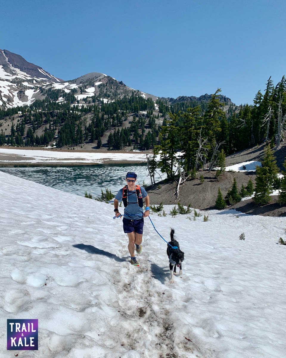 Best dog harnesses and dog leashes for running - Trail and Kale