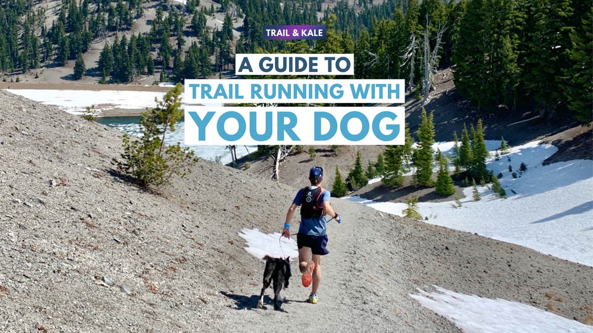 trail running with your dog trail and kale
