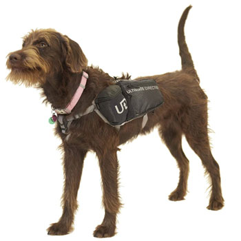 Ultimate Direction Dog Vest 2 best dog backpacks trail and kale 1