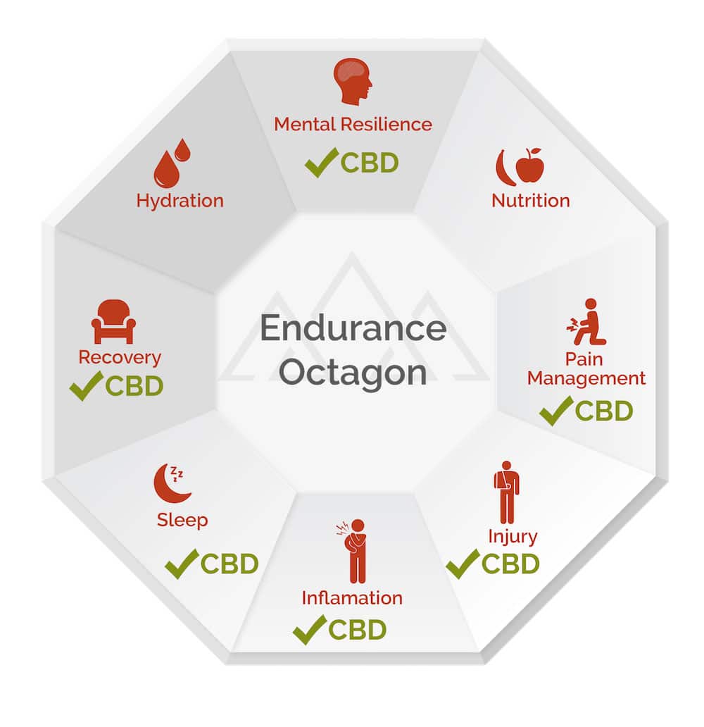 Venga CBD Endurance Octagon