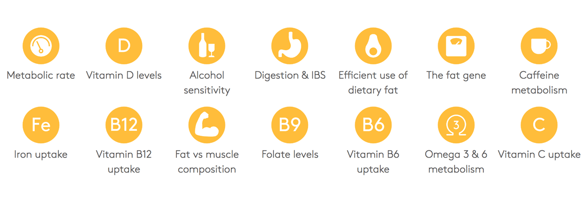 VITL DNA Test readings