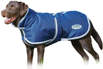 Weatherbeeta Parka Dog Coat Best Dog Coats Trail and Kale