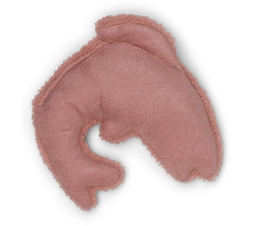 West Paw Big Sky Trout Plush Toy For Dogs