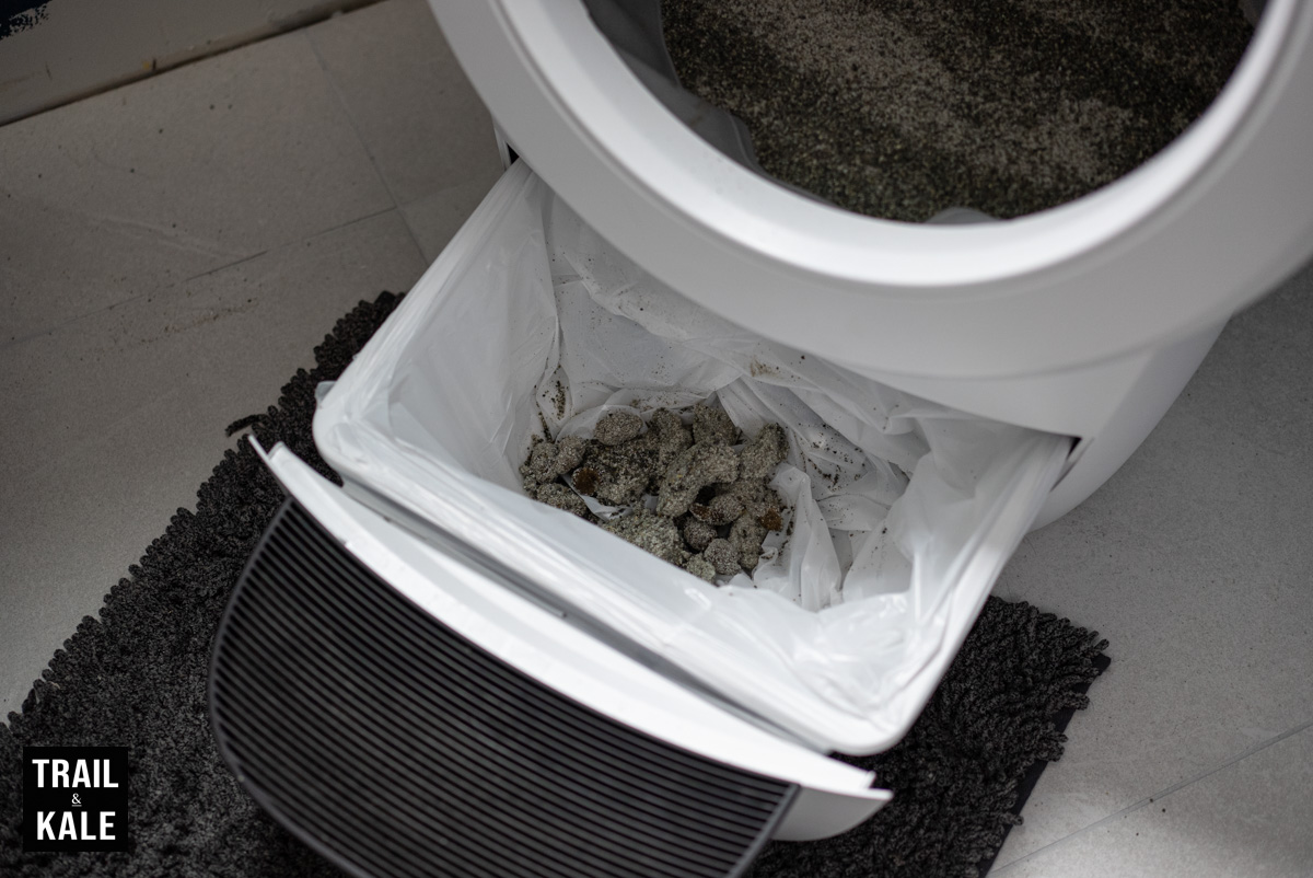 The waste drawer with cat poo and pee, nicely clumped and sealed with clay litter.