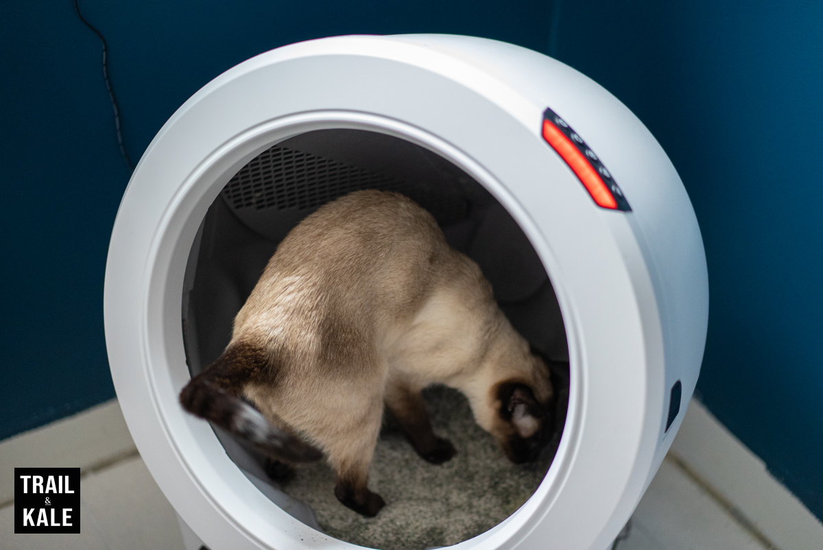 They'll have a little sniff and a scrape before settling on good spot to do their business.