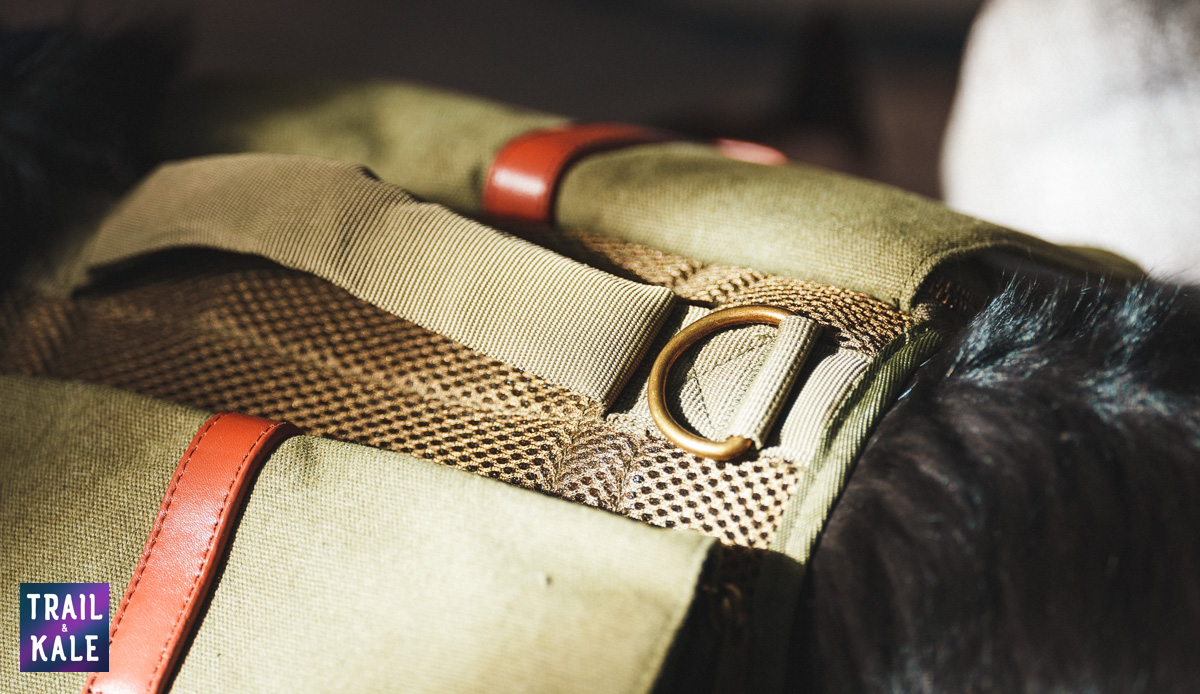 Wolf Republic review dog gear Trail and Kale web wm 18