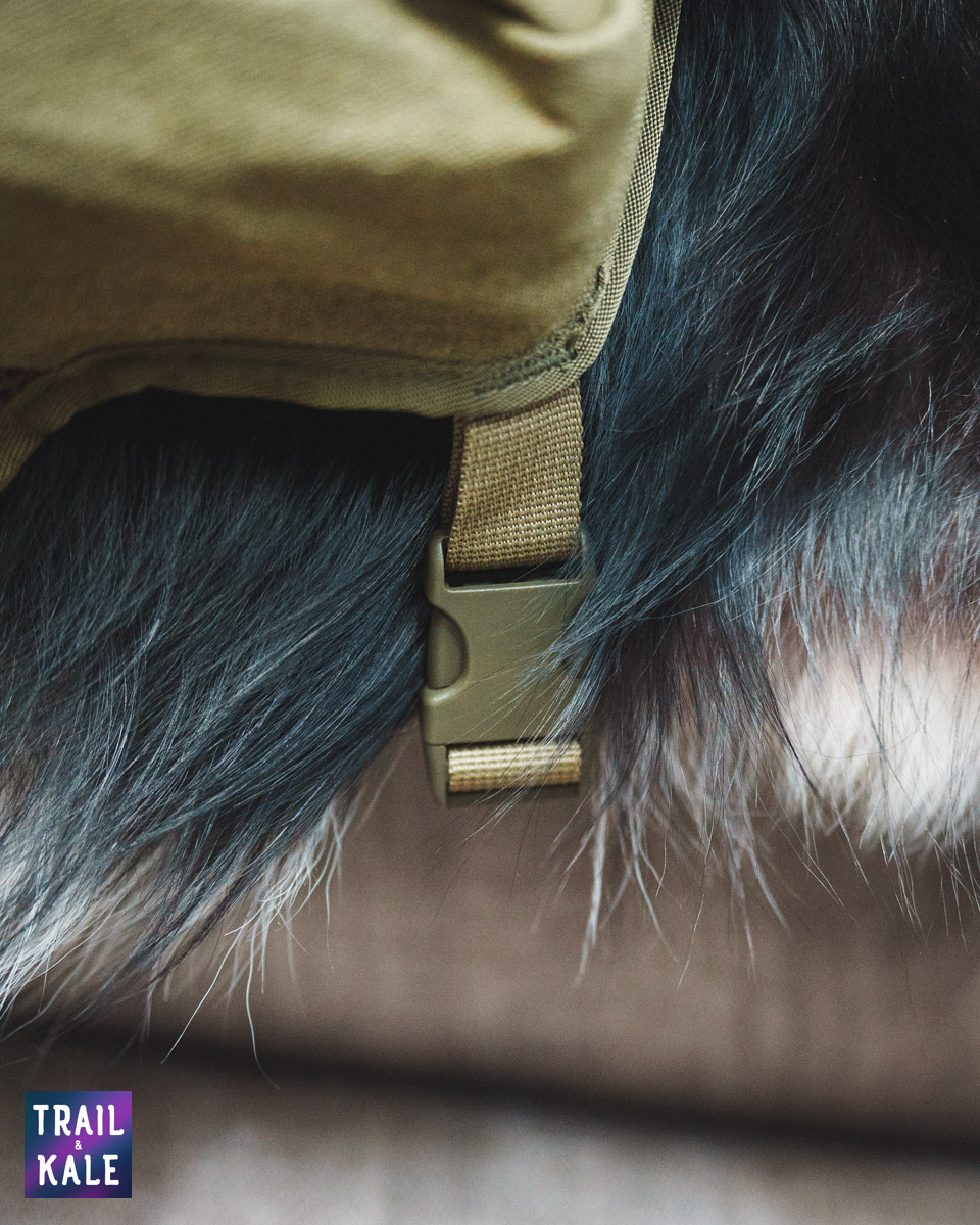 Wolf Republic review dog gear Trail and Kale web wm 28