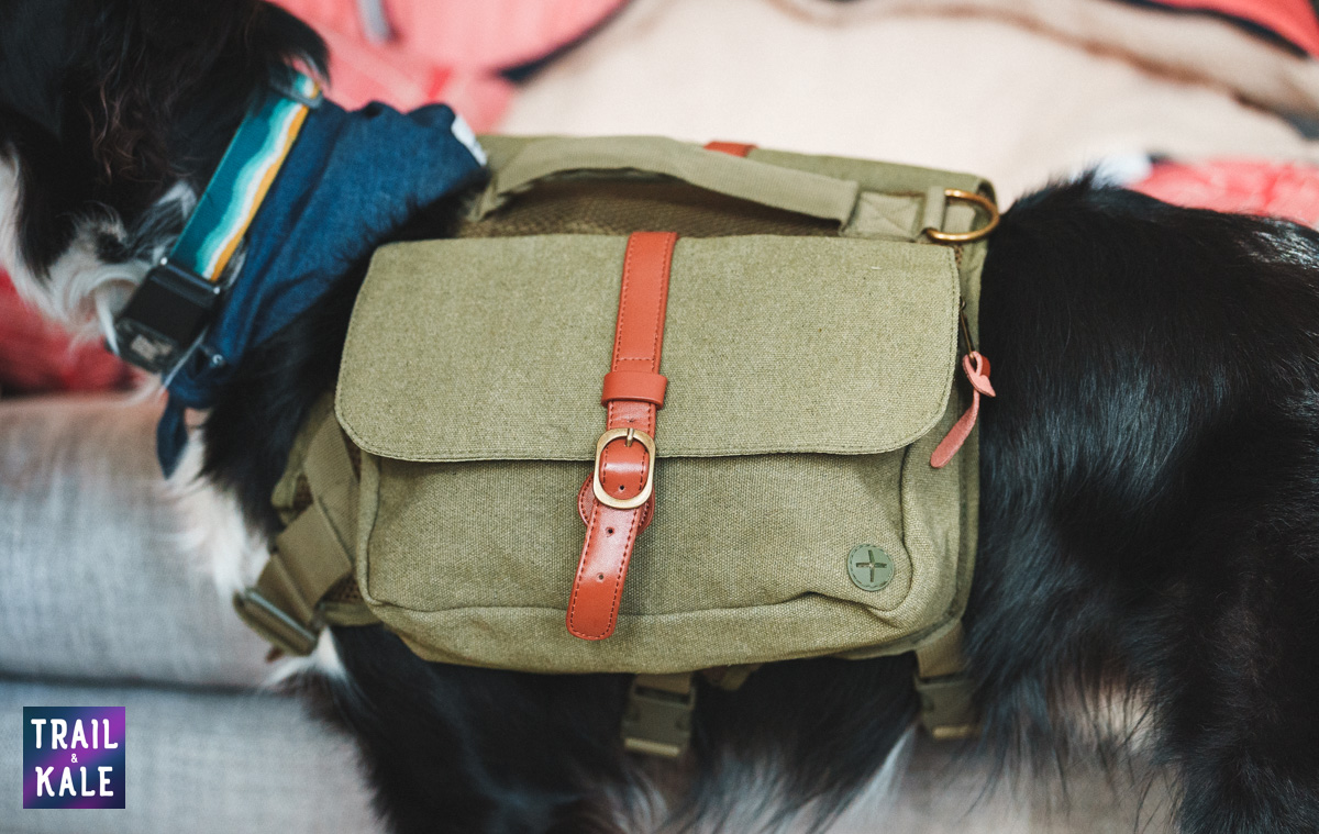 Wolf Republic review dog gear Trail and Kale web wm 29