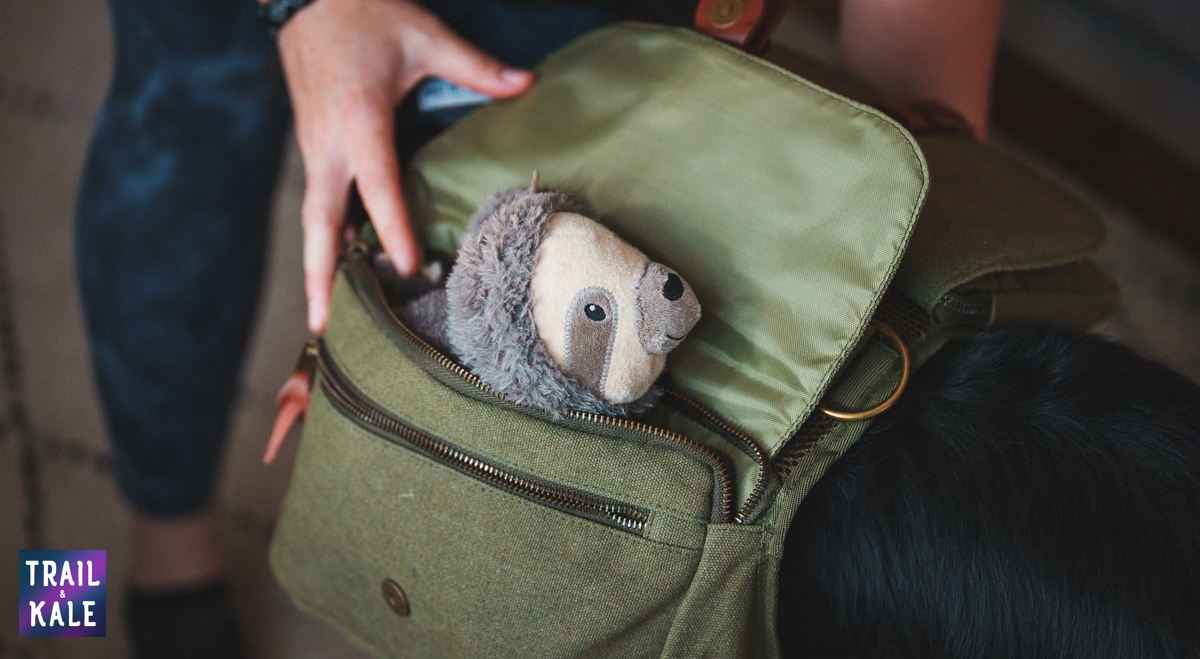 Wolf Republic review dog gear Trail and Kale web wm 30