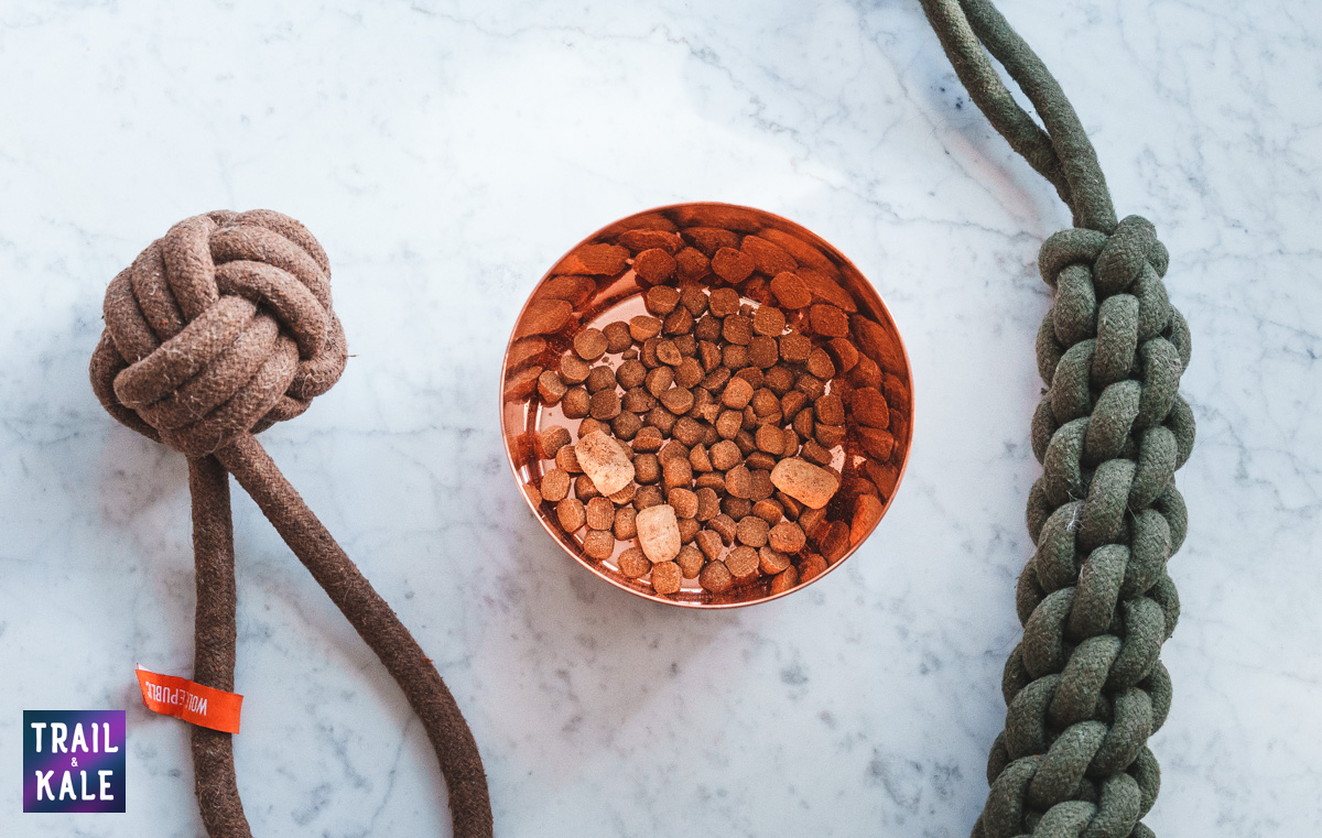 Wolf Republic review dog gear Trail and Kale web wm 4