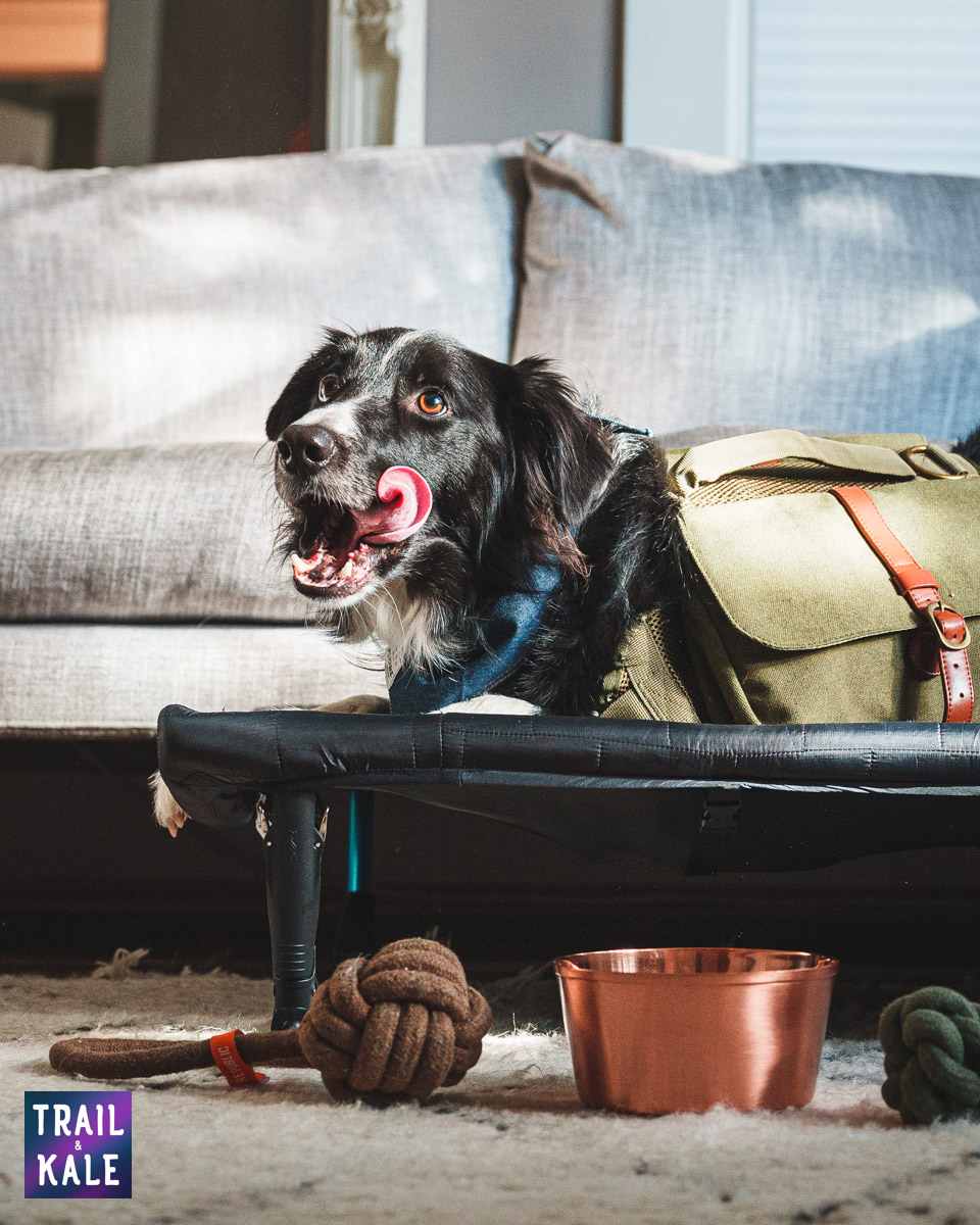 Wolf Republic review dog gear Trail and Kale web wm 6