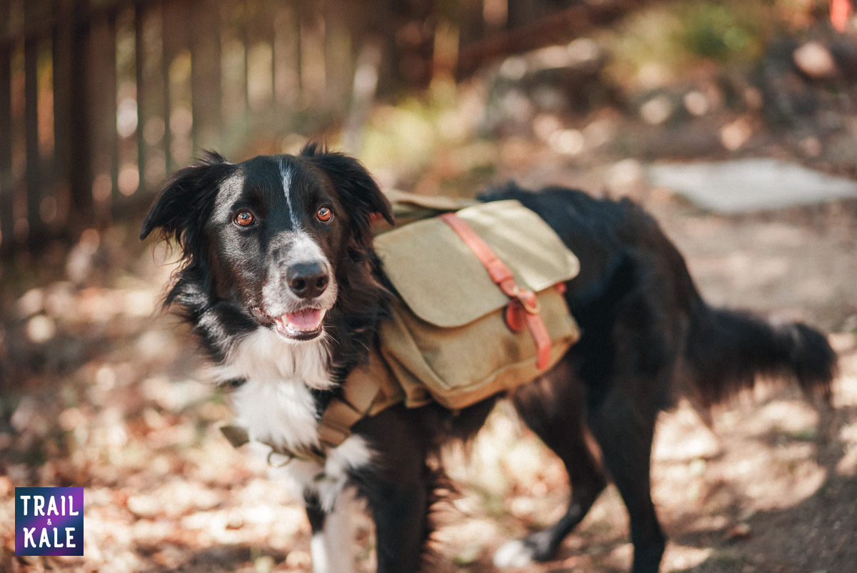 Wolf Republic Review Trail and Kale web wm 8