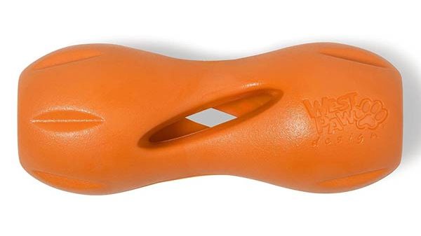 Zogolex Qwizl how to calm your dog down after exercise