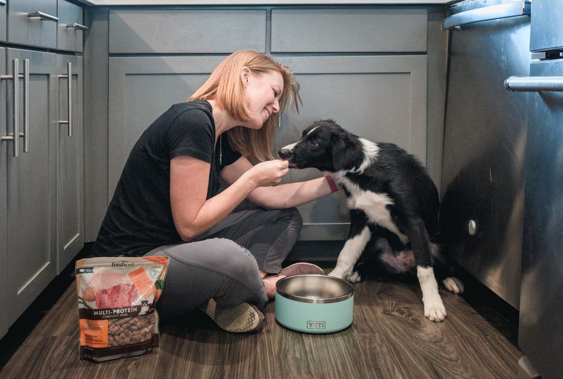 Accelerating our puppys training using high value dog food Freshpet trail and kale web featured 1