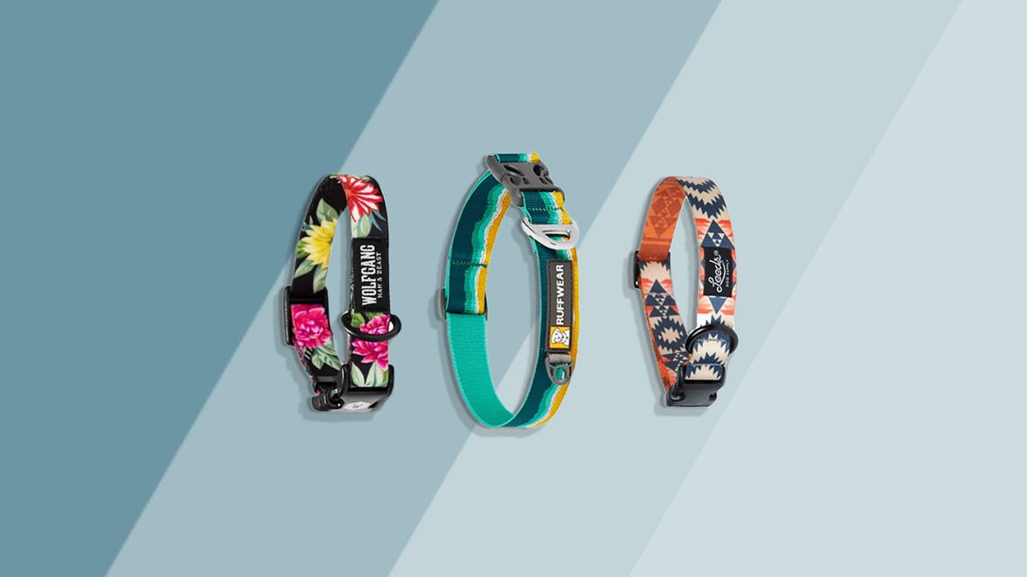 best dog collars For Adventure Dogs Trail and Kale Approved