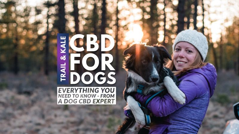 CBD For Dogs oil treats benefits dosage and more Trail and Kale