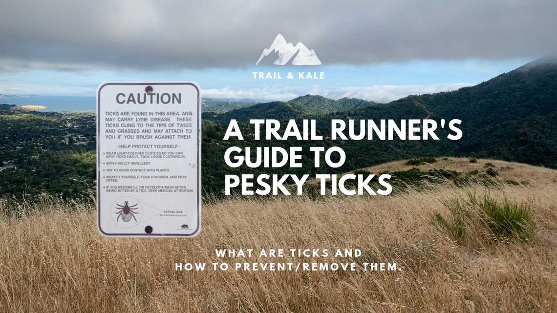 FEATURED IMAGES 1500x 2